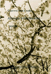 librobild