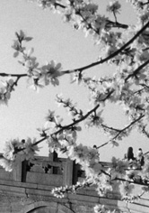 lago Ness