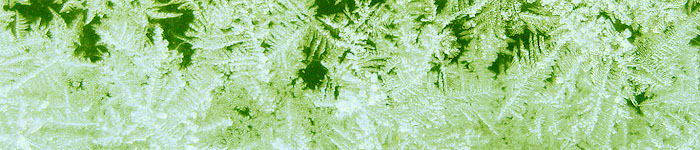 eiskristalle